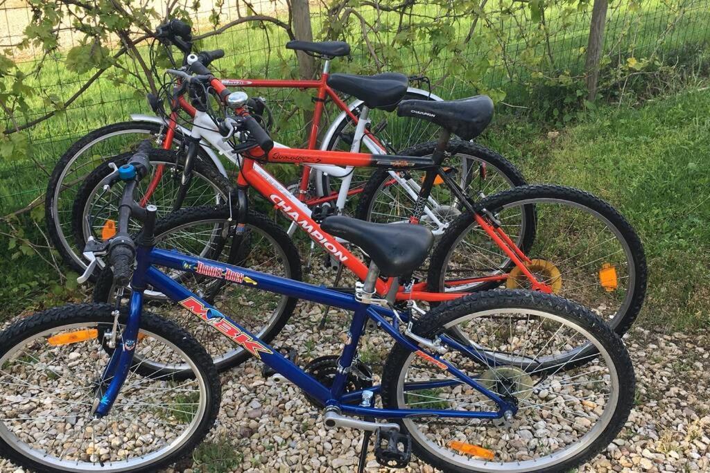 L'Echappee Ardennaise - Gite 6 Places Tout Confort Semuy Kültér fotó